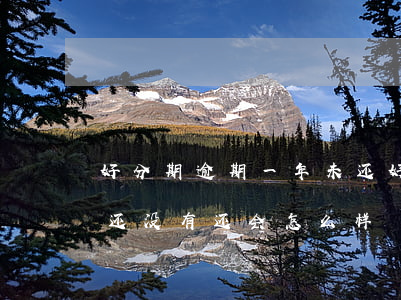 好分期逾期一年未还 好分期已经逾期了几天还没有还会怎么样