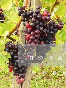 好分期逾期一年要我加微信-好分期逾期一年要我加微信怎么办