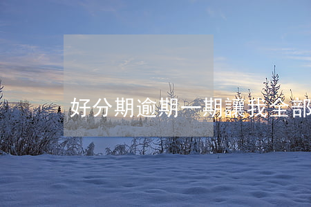 好分期逾期一期讓我全部還