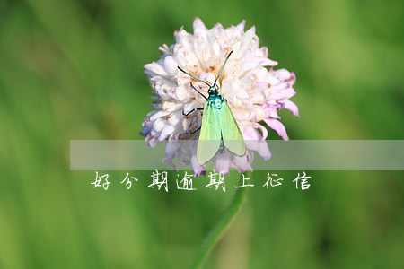 好分期逾期上征信