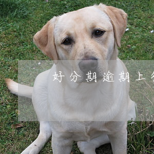 好分期逾期上征信了怎么辦