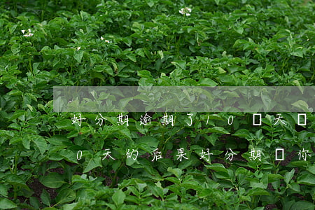 好分期逾期了10幾天,會有什么后果，逾期10天的后果：好分期為你揭示可能面臨的懲罰