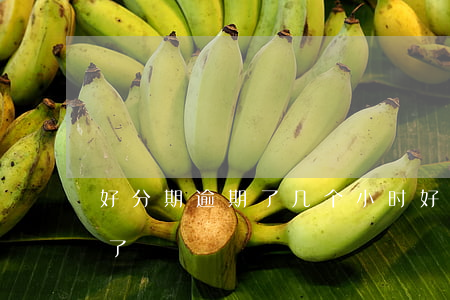好分期逾期了几个小时（好分期逾期一个星期了）