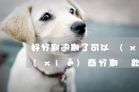 好分期逾期了可以協(xié)商還款嗎(協(xié)商分期還款以后逾期會(huì)怎樣)