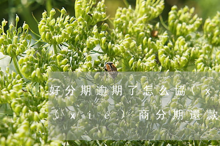 好分期逾期了怎么協(xié)商還款-協(xié)商分期還款以后逾期會怎樣
