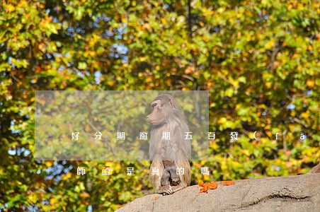 好分期逾期五百發(fā)律師函(好分期律師函是真的嗎)