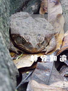 好分期逾期兩千會起訴嗎