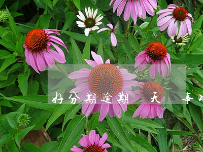 好分期逾期兩天沒事吧