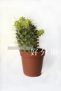 好分期逾期兩年起訴是不是真的-