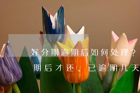 好分期逾期后如何处理？会全额还款，但需逾期后才还。已逾期几天未还会有何影响？能否再次借款？