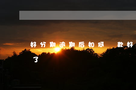 好分期逾期后如何還款(好分期還款怎么還不了)