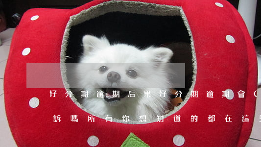 好分期逾期后果(好分期逾期會(huì)起訴嗎?所有你想知道的都在這兒!)