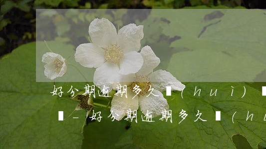 好分期逾期多久會(huì)給通訊錄打電話-好分期逾期多久會(huì)給通訊錄打電話啊