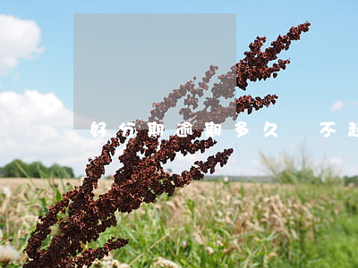 好分期逾期多久會不起訴