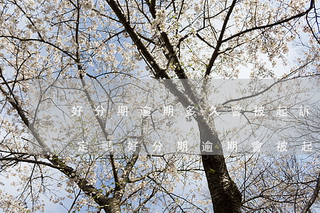 好分期逾期多久會被起訴:有規(guī)定嗎?（好分期逾期會被起訴嗎）