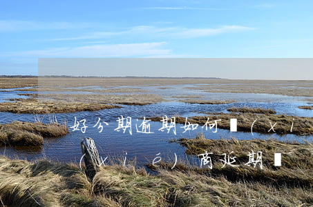好分期逾期如何協(xié)商(好分期能協(xié)商延期嗎)