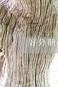 好分期逾期律師函