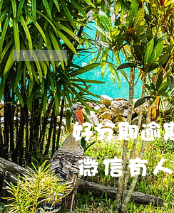 好分期逾期微信加我了-好分期逾期一個月,微信有人加我