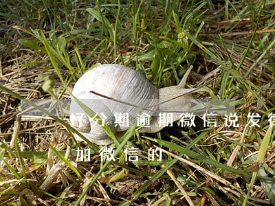 好分期逾期微信说发律师函(好分期逾期律师加微信的)