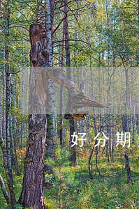 好分期逾期會去自己戶籍地方嗎-