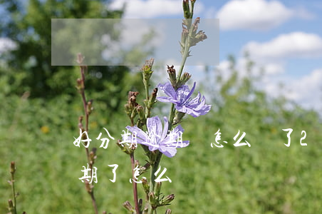 好分期逾期會怎么樣了 2021年好分期逾期了怎么辦