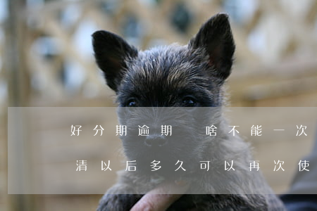 好分期逾期為啥不能一次還完 好分期逾期還清以后 多久可以再次使用
