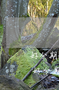 好分期逾期發(fā)短信給朋友說訴訟-好分期逾期給我發(fā)的短信說起訴 真的假的