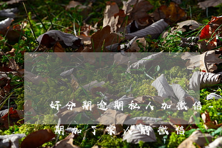 好分期逾期私人加微信-分期樂(lè)逾期加了家人的微信