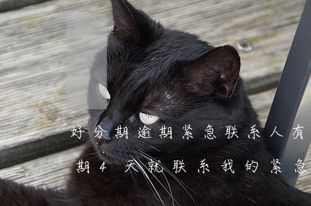 好分期逾期紧急联系人有责任么-好分期逾期4天就联系我的紧急联系人