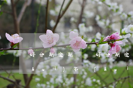好分期逾期訴訟(好分期逾期金額小的話會(huì)不會(huì)被起訴)
