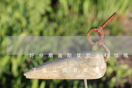 好分期逾期貸款上征信嗎(來分期逾期上征信了,能貸款買房嗎)