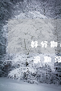 好分期逾期贷款上征信不(有用分期上征信吗?逾期没还款会怎么样?)
