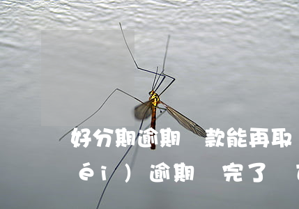 好分期逾期還款能再取嗎(在好分期上沒(méi)逾期還完了還可以借嗎)