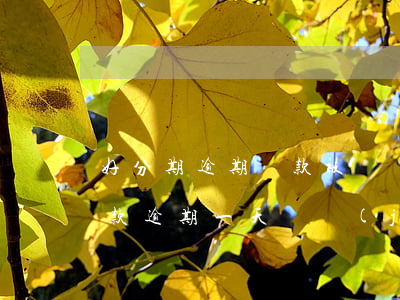 好分期逾期還款被凍結(jié)(好分期貸款逾期一天凍結(jié)了,會解除嗎)