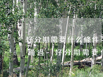 好分期需要什么條件可以申請(qǐng)通過-好分期需要什么條件可以申請(qǐng)通過呢