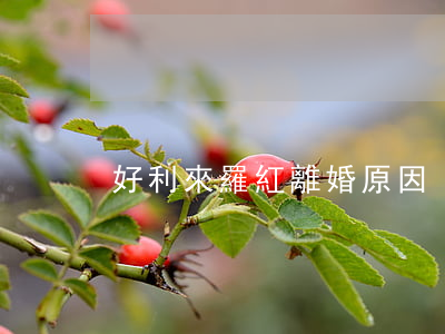 好利來羅紅離婚原因