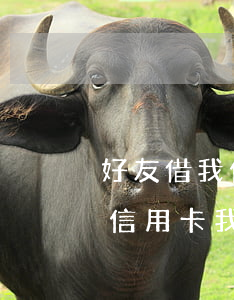 好友借我信用卡不還怎么辦(朋友問我借錢還信用卡我該怎么辦)