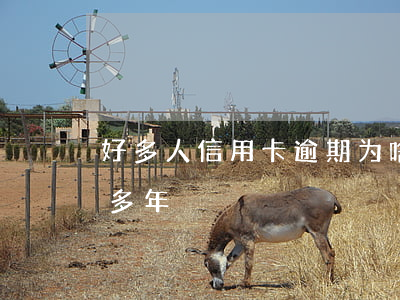好多人信用卡逾期(为啥有的人信用卡逾期好多年)