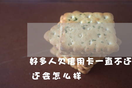 好多人欠信用卡一直不还(欠信用卡钱一直不还会怎么样)