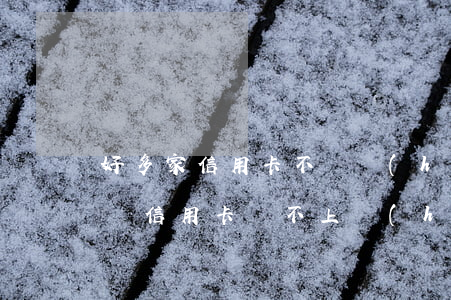 好多家信用卡不還會(huì)怎么樣(很多張信用卡還不上會(huì)怎么樣)