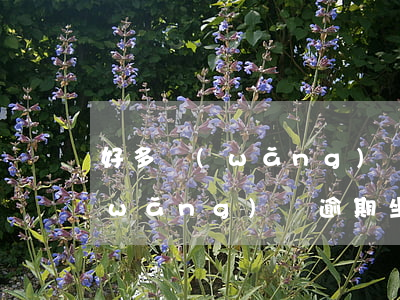 好多網(wǎng)貸逾期能坐火車嗎(網(wǎng)貸逾期坐高鐵有影響嗎)