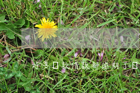 好多貸款借款都逾期了(貸款全部逾期)