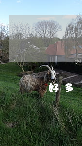 好多貸款逾期最好還款方式