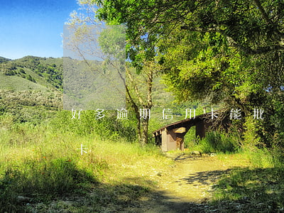 好多逾期信用卡能批嗎 逾期還可以批的信用卡