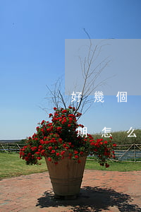 好幾個(gè)信用卡逾期怎么辦 信用卡逾期怎么辦