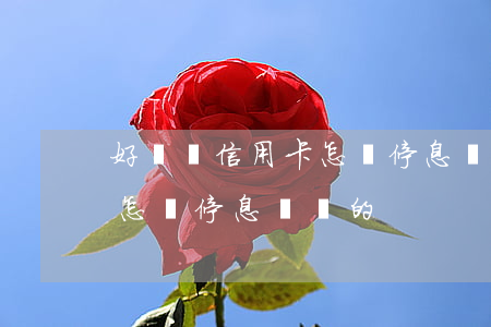 好幾個信用卡怎樣停息掛賬-好幾個信用卡怎樣停息掛賬的