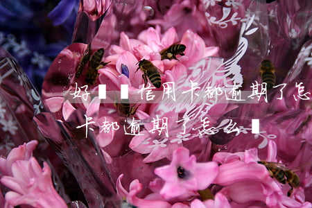好幾個信用卡都逾期了怎么辦-好幾個信用卡都逾期了怎么辦