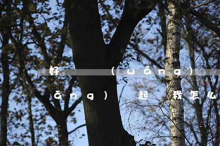 好幾個網(wǎng)貸起訴 好幾個網(wǎng)貸起訴我怎么辦