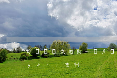 好幾個貸款逾期一個月(貸款逾期多久算嚴(yán)重啊)