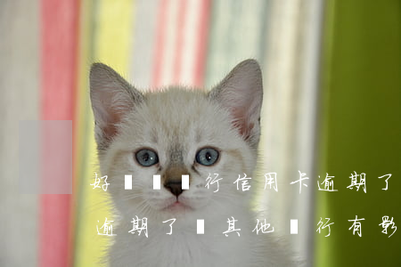 好幾個銀行信用卡逾期了(一個銀行的信用卡逾期了對其他銀行有影響嗎)